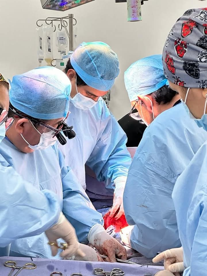 Circuncisión - Procedimiento Especializado