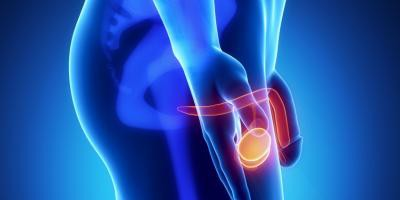 Vasectomía - Procedimiento Especializado